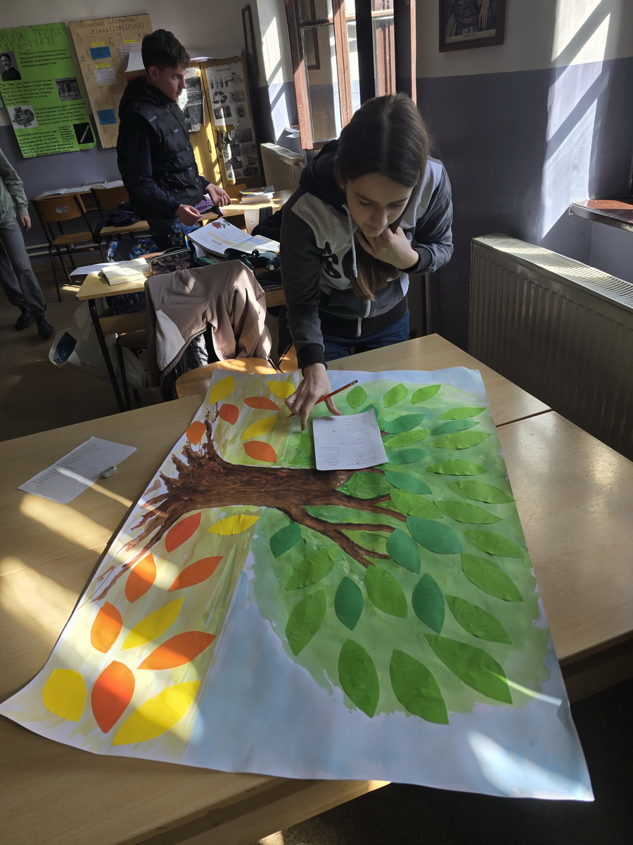 maternji tek2 resize